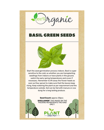 Basil Green Seeds - Organic Garden Seeds - بذور الريحان الخضراء
