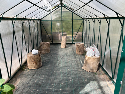 Polycarbonate Greenhouse with Lockable Hinged Door, Sliding Door and 2 Vent Window, Walk-in Hobby Greenhouse Aluminum