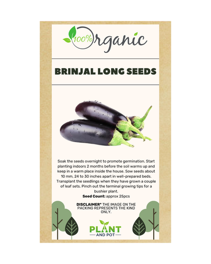 Brinjal Long Seeds - Organic Garden Seeds - بذور الباذنجان الطويل