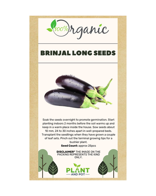 Brinjal Long Seeds - Organic Garden Seeds - بذور الباذنجان الطويل