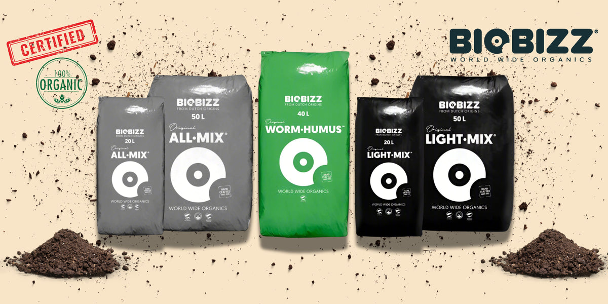 One Step Solution for Green Living | Plant and Pot Co.