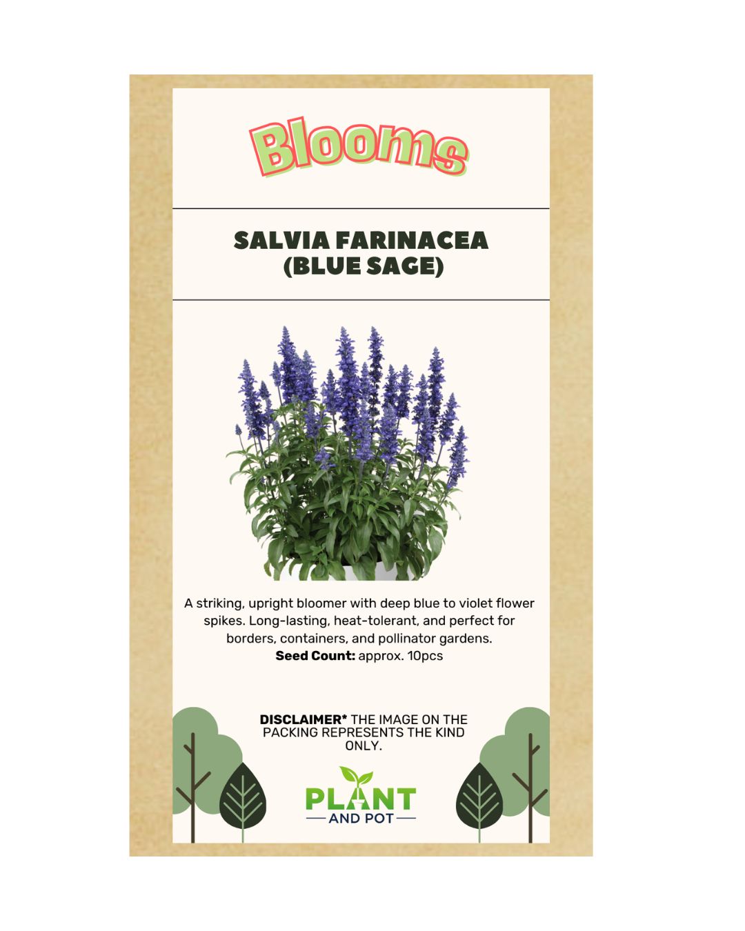 Blue Sage - Salvi...