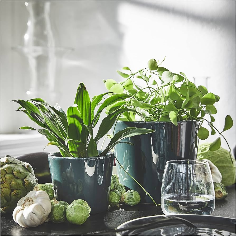 Dark Green Ceramic Pot - Planter