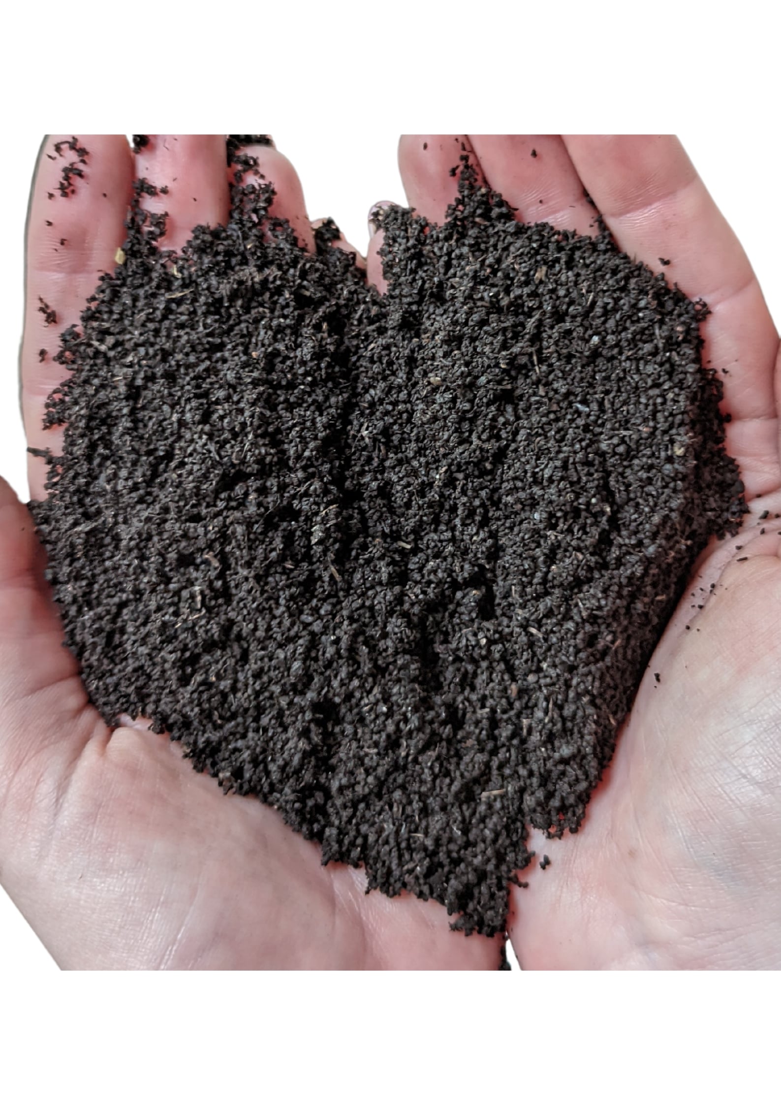 One Step Solution for Green Living | Plant and Pot Co.