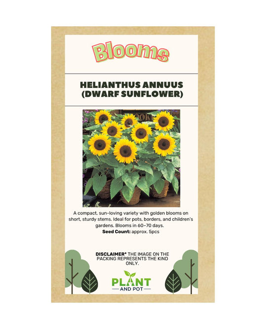 Dwarf Sunflower Seed - Flower Seeds