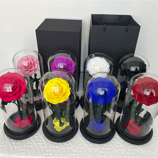 Forever Rose Dome 12cm x 20cm - الوردة الخالدة
