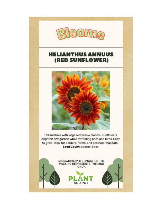 Red Sunflower Seed - Flower Seeds