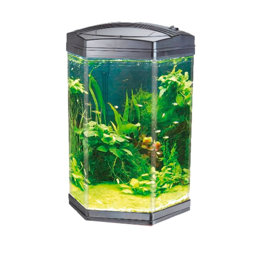 Hexagon Aquarium 22L - حوض أسماك