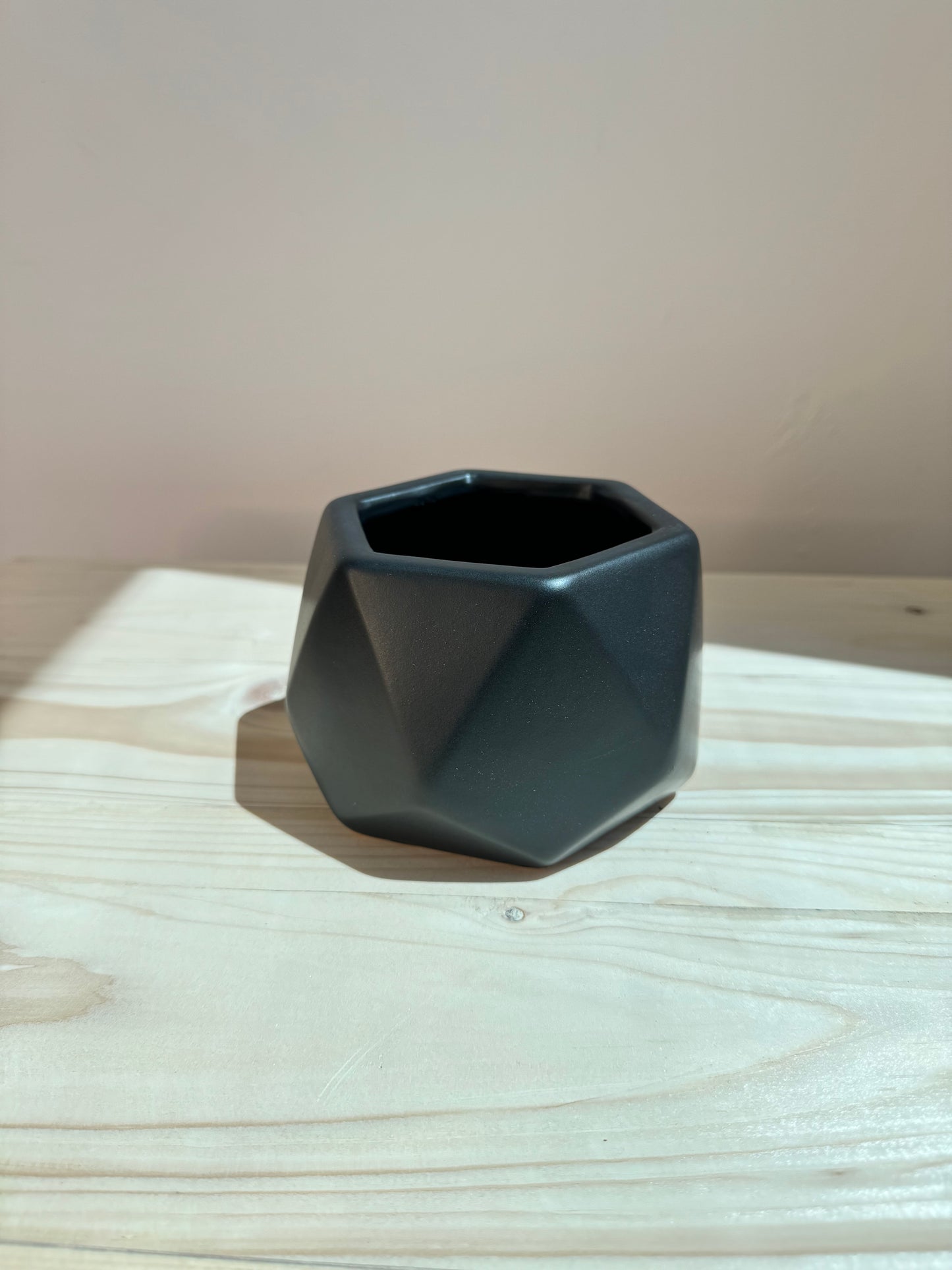 Black Hexagon Ceramic Pot - Planter