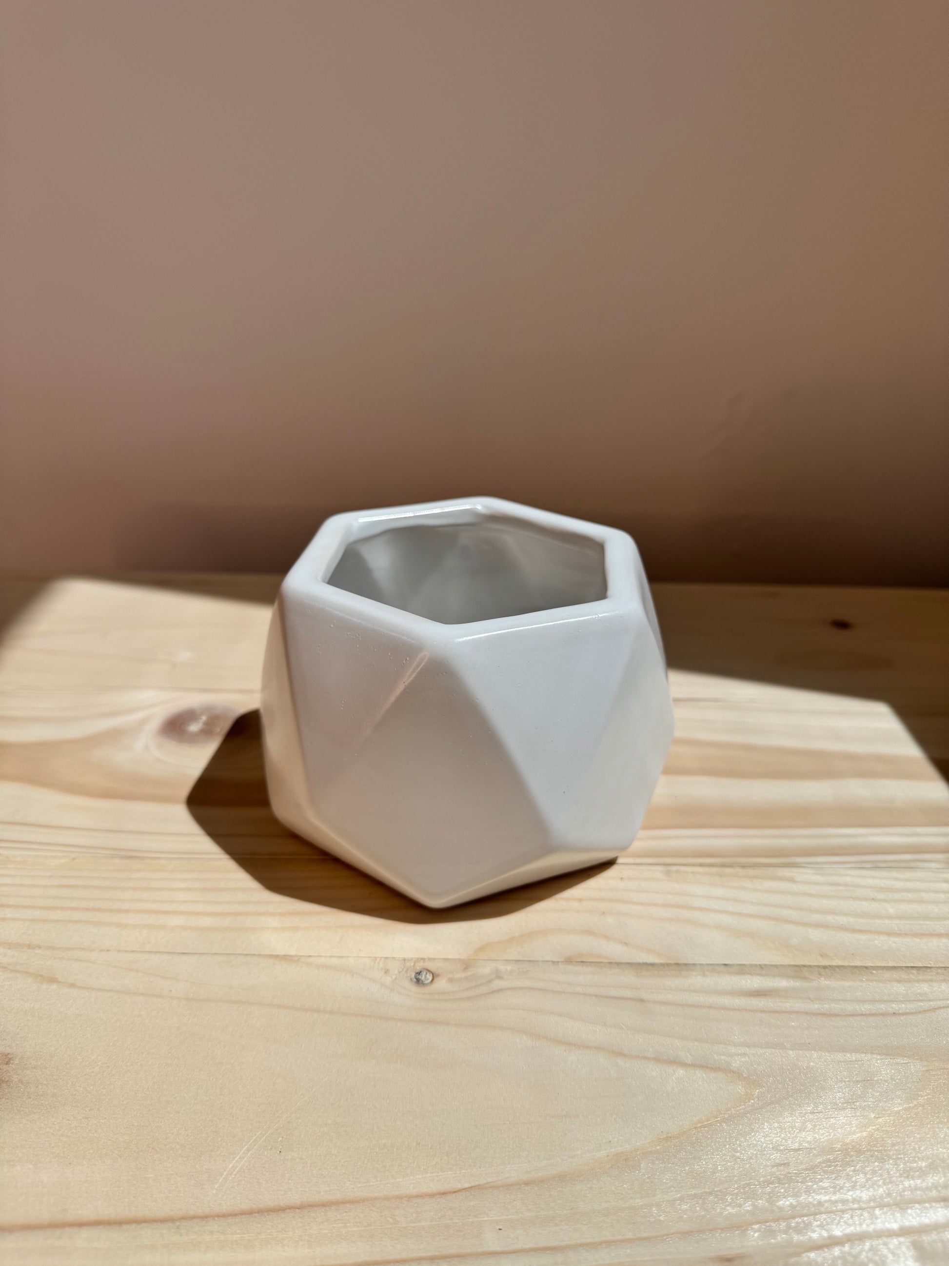 White Hexagon Ceramic Pot - Planter