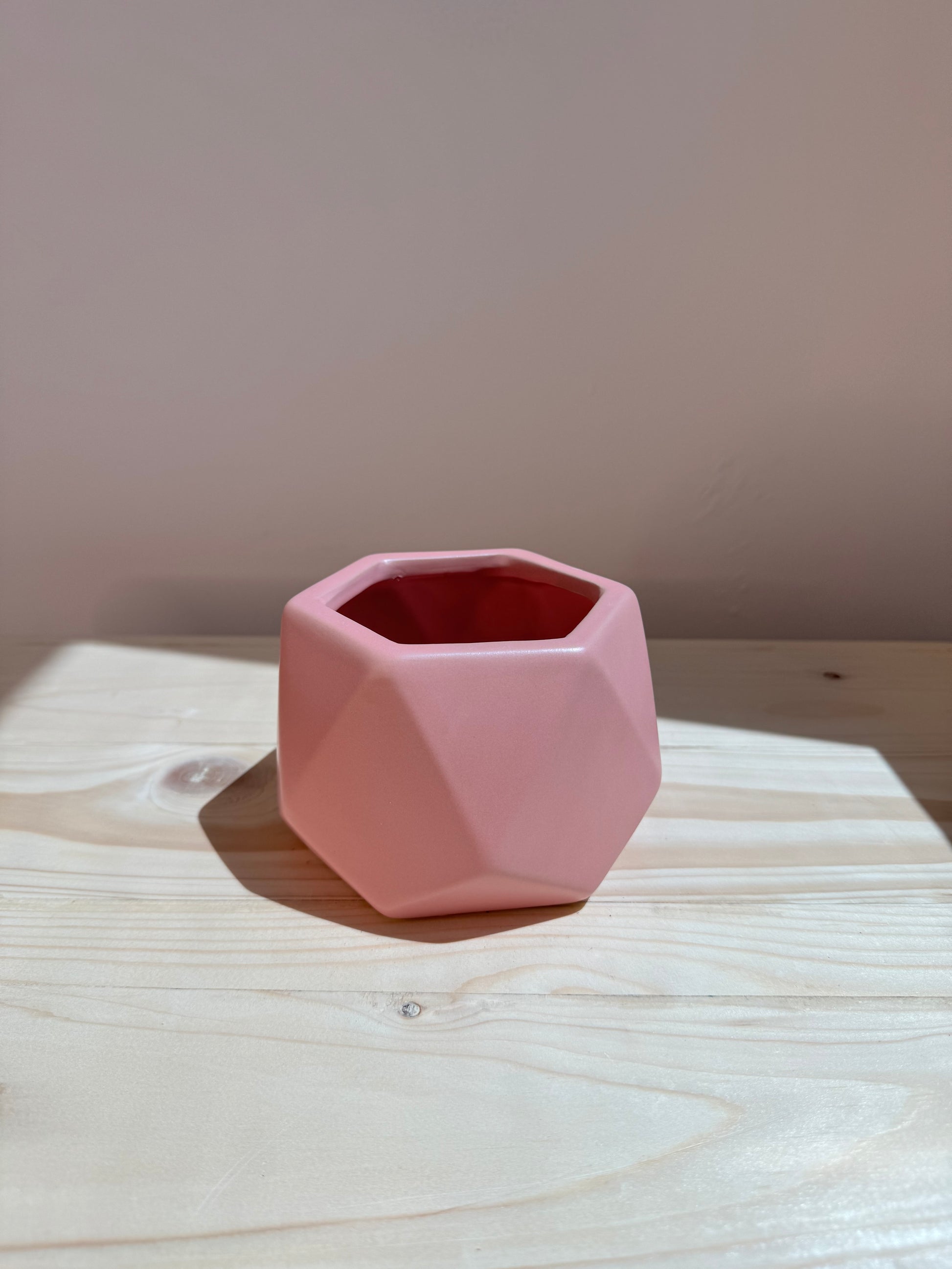 Pink Hexagon Ceramic Pot - Planter