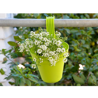 Balcony Hanging Pots