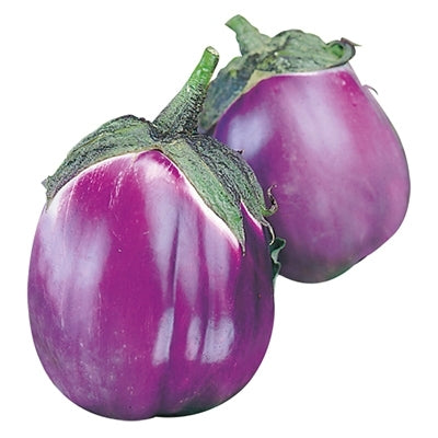 Eggplant Firenze Seeds