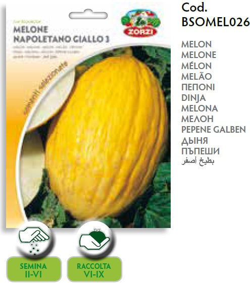 Melon Napoletano Giallo Seeds