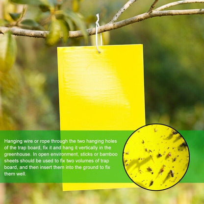 Yellow Sticky Fly Traps - Two-sided Glue Paper Trap For Kill Pests - Pack of 10pcs