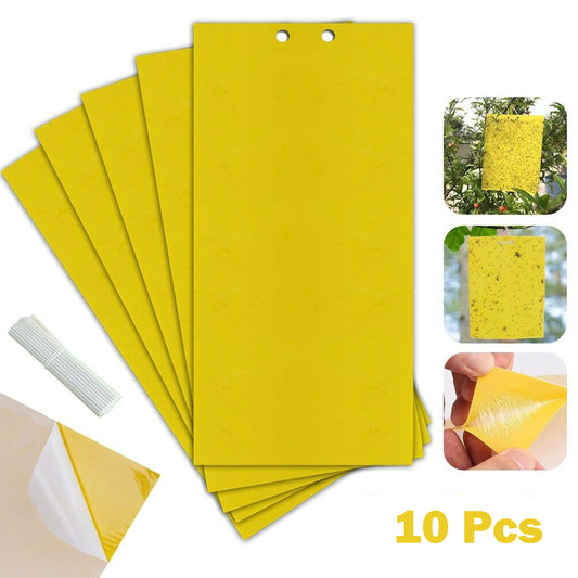 Yellow Sticky Fly Traps - Two-sided Glue Paper Trap For Kill Pests - Pack of 10pcs