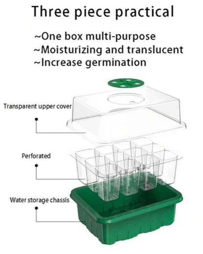 Green Seedling Tray - Propagation - Seed Growth