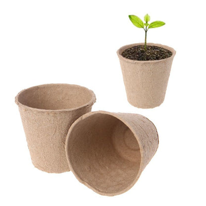 Paper Pot - Compostable - Pack of 10pcs