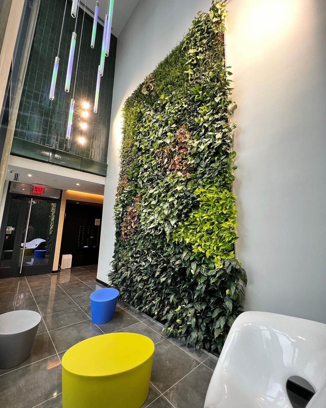 Picture Idea: Vertical Green Wall Installation Kuwait