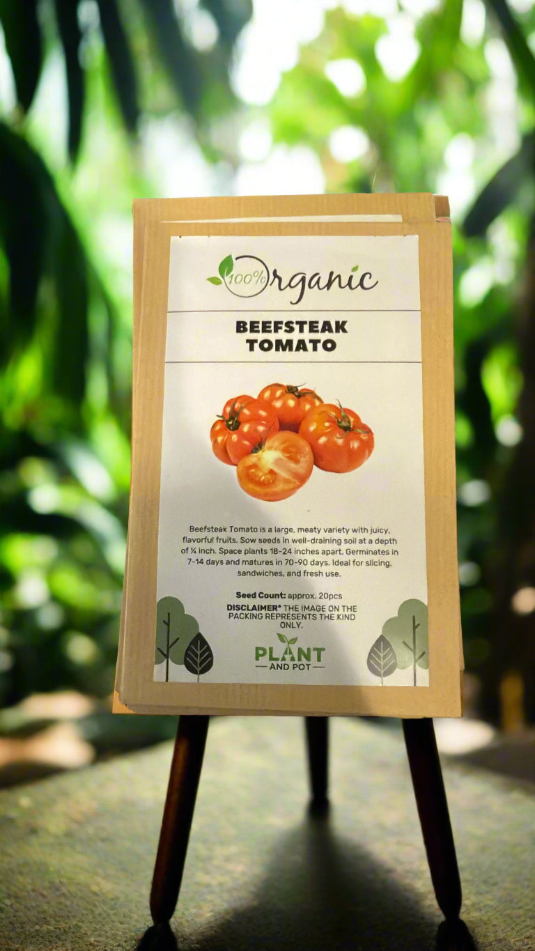 Beefsteak Tomato