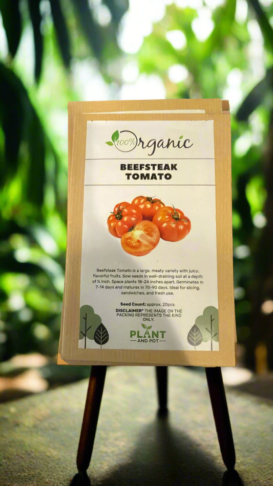Beefsteak Tomato