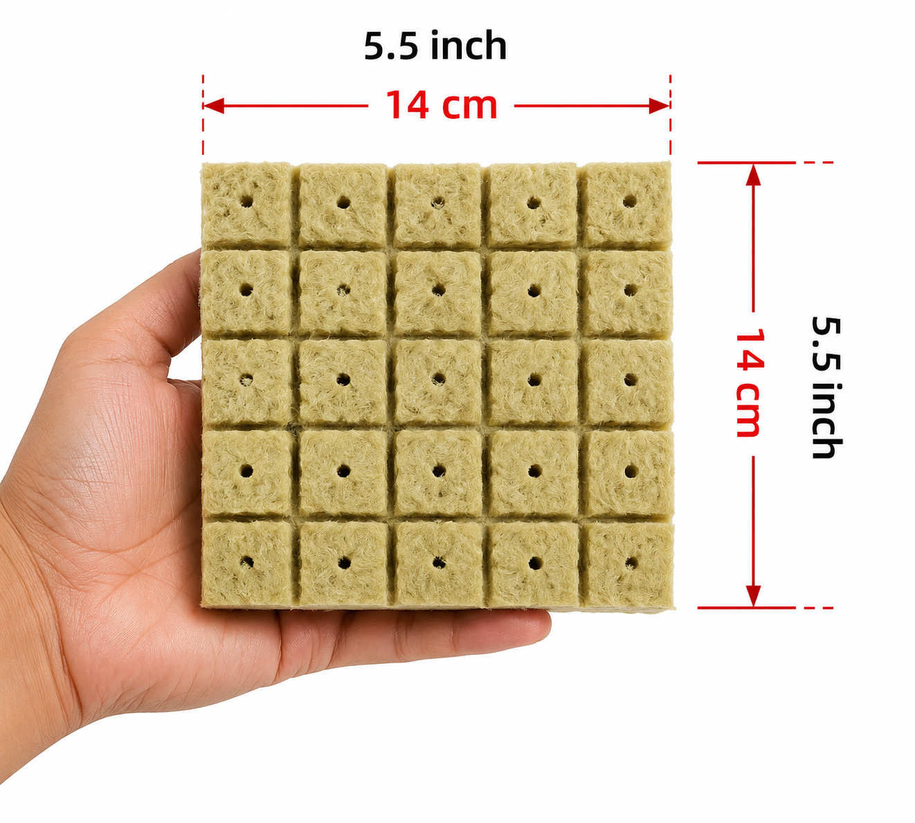 Rockwool Seeding Plug - Sheet of 50 plugs