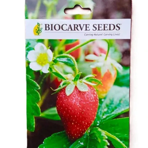 Alpine Strawberry Seeds - بذور الفراولة الألبية
