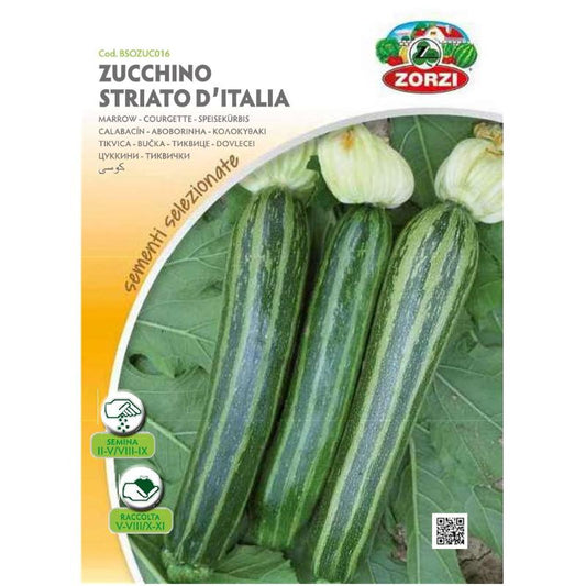 Zucchini Italian Seeds