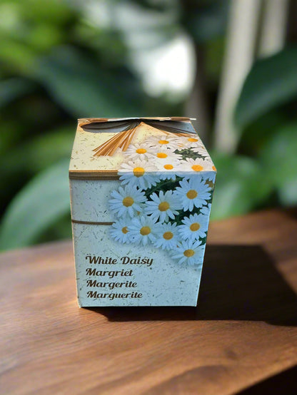 Flower Growing Seeds Kit - مجموعة بذور زراعة الزهور