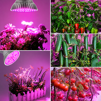 Grow Light Pro 80W LED | مصباح LED لنمو النباتات
