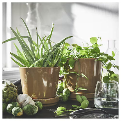 Amber Glow Ceramic Pot - Planter