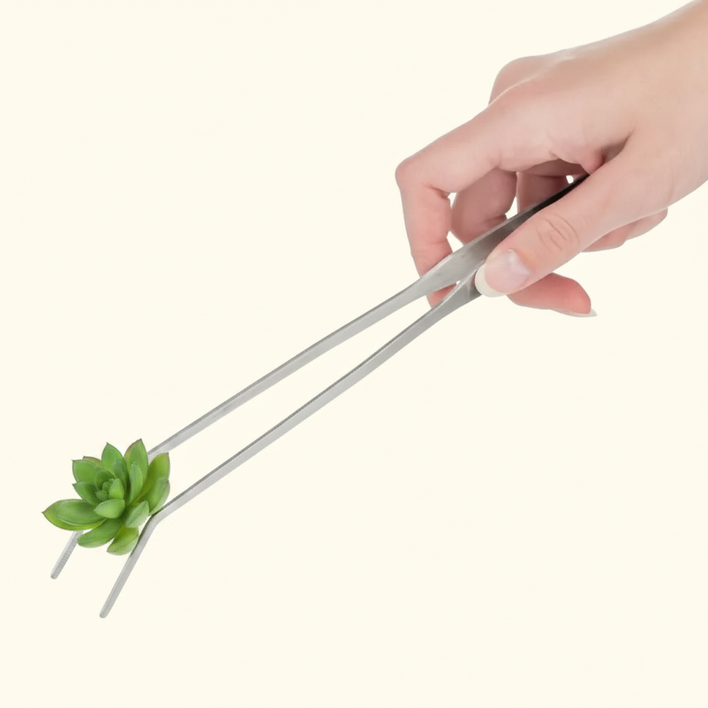 Curved Tweezers Holding Plant – HD