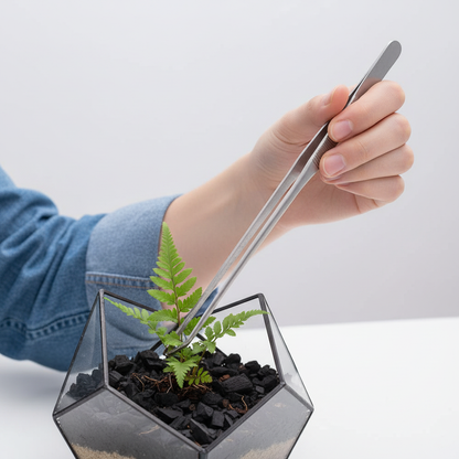 Curved Tweezers – Terrarium Use