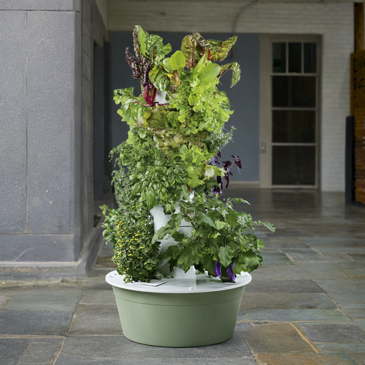 Hydroponic Tower - 5 Layer Plant Growing System