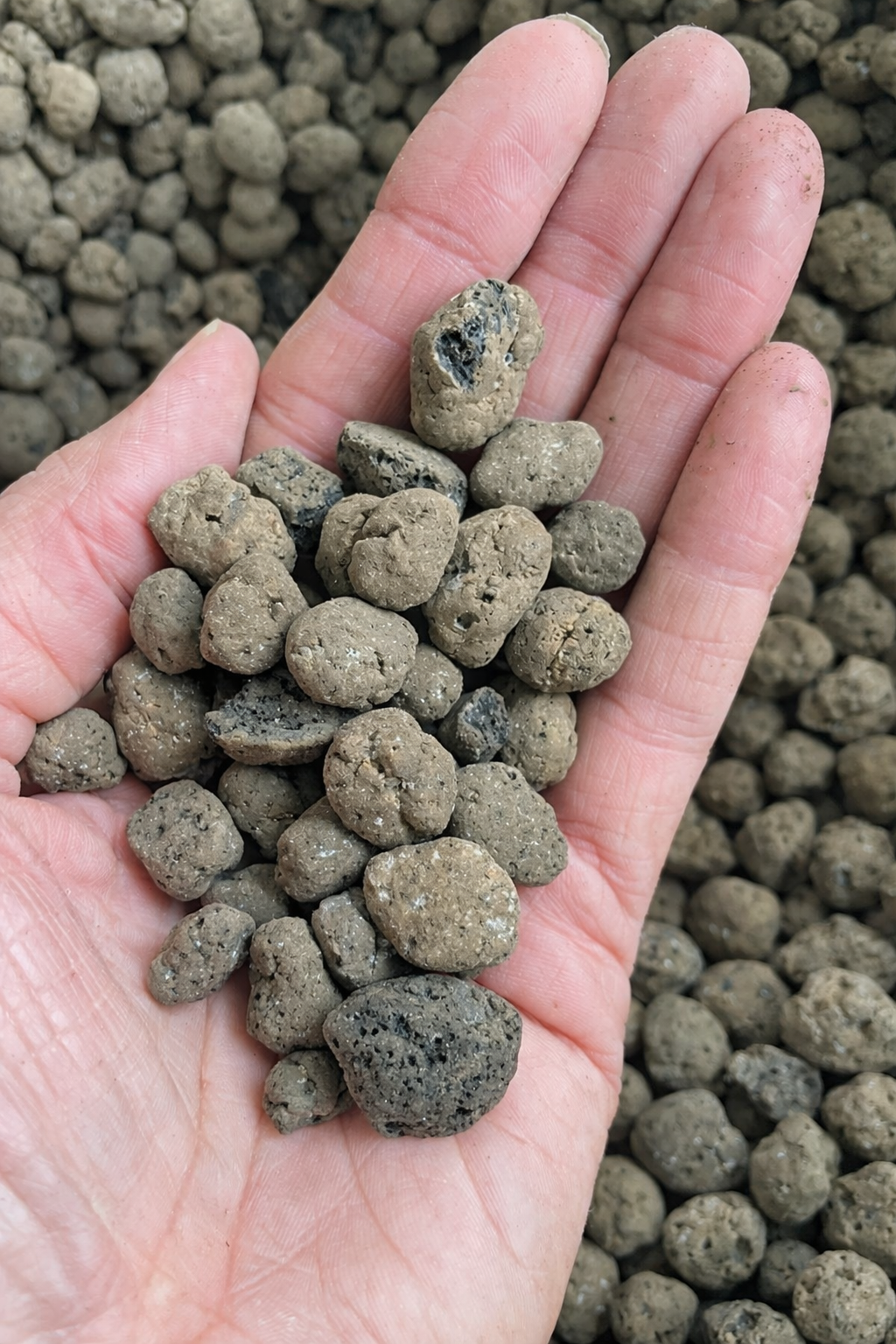 Horticultural clay pebbles 40L - Leca Ball