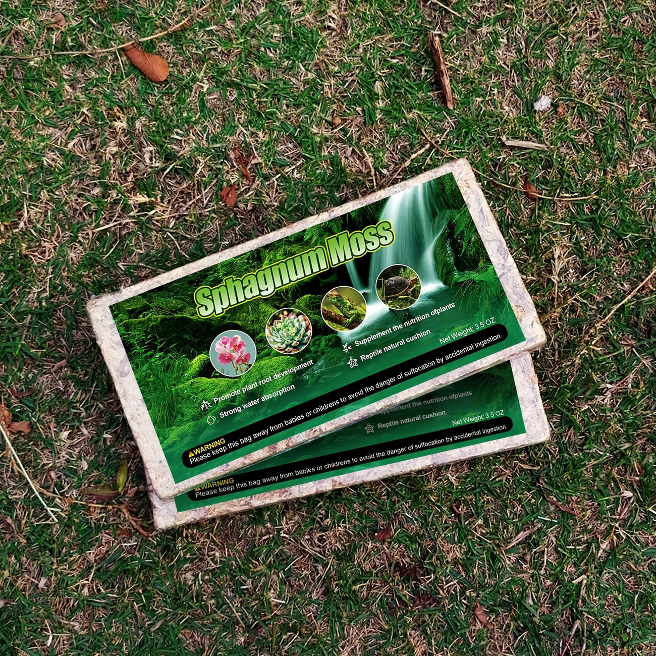 Dried Natural Sph...