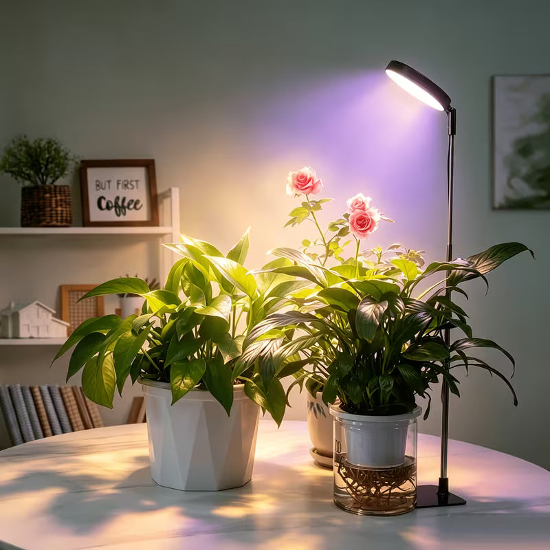 Full Spectrum LED Grow Light with Timer - مصباح نمو نباتات كامل الطيف مع مؤقت