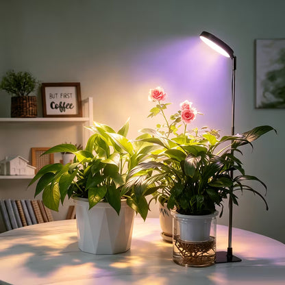 Full Spectrum LED Grow Light with Timer - مصباح نمو نباتات كامل الطيف مع مؤقت
