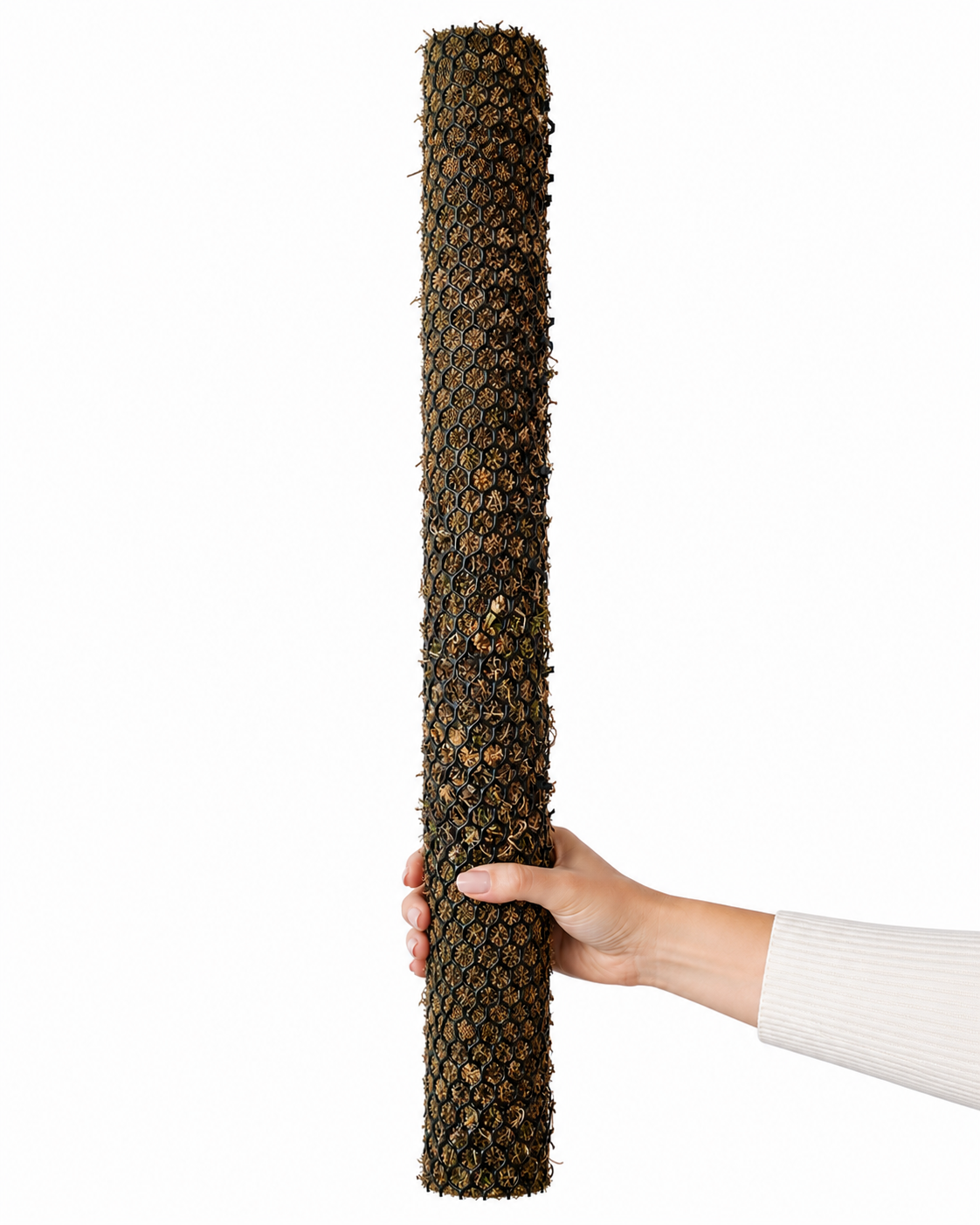 Sphagnum Moss Pole | عمود طحلب السفاغنوم