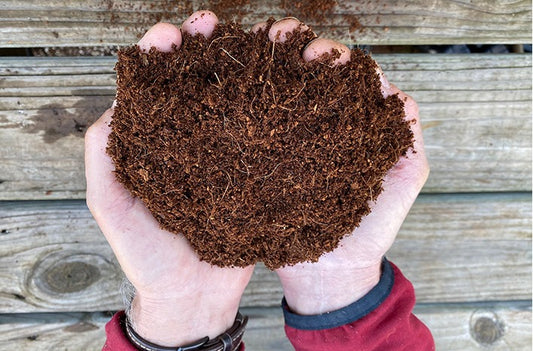 Coco Peat 10L