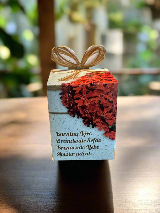Flower Growing Seeds Kit - مجموعة بذور زراعة الزهور
