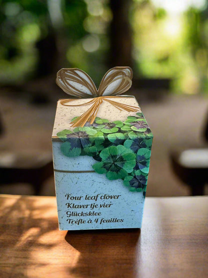 Flower Growing Seeds Kit - مجموعة بذور زراعة الزهور