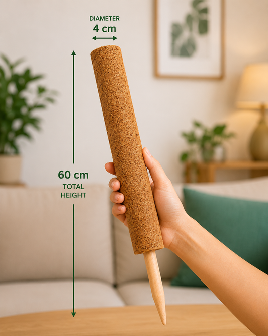 Coir Pole – Plant Support | عمود الكوير لدعم النباتات