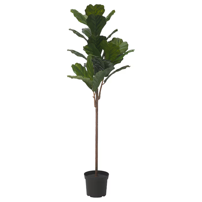 Ficus Lyrata Tree (Artificial Plant)