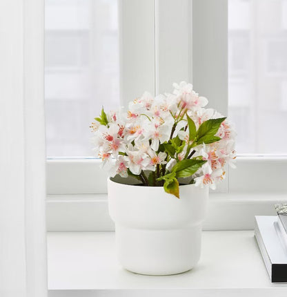 White Pot - Planter