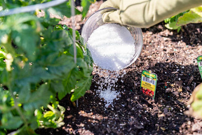 can you use epsom salt on succulents Epsom Salts For Plants – Plant and Pot Co