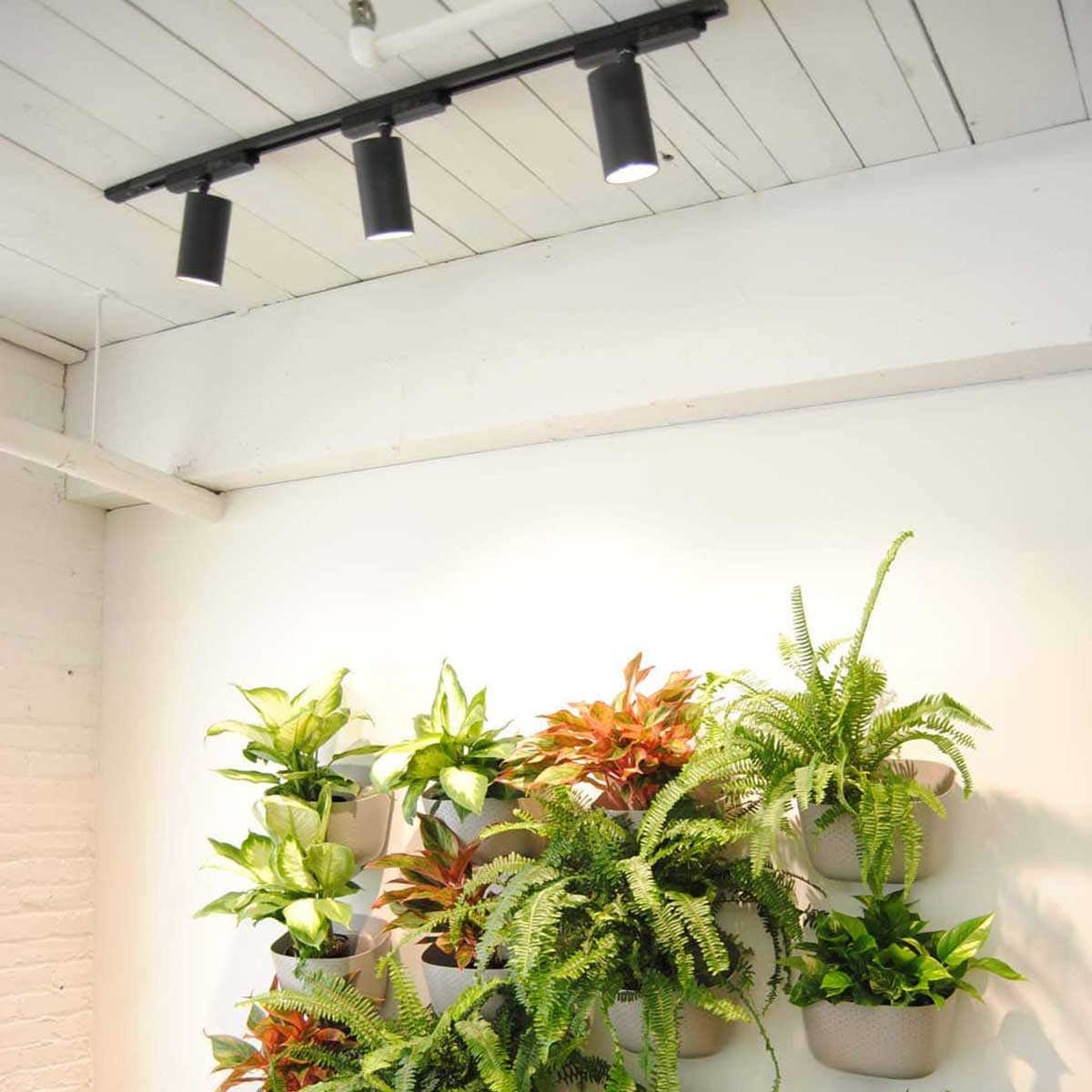 Led Track Plant Light - Grow light – Plant and Pot Co.