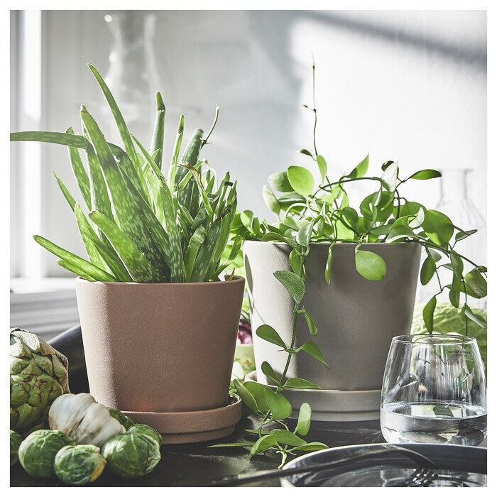 Brown Ceramic Pot - Planter