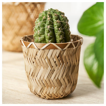 https://plantnpot.com › products › basket-pots