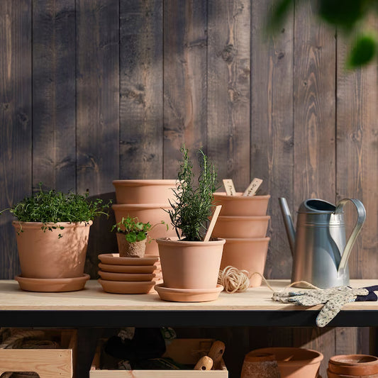 Terracotta Pot - Planter